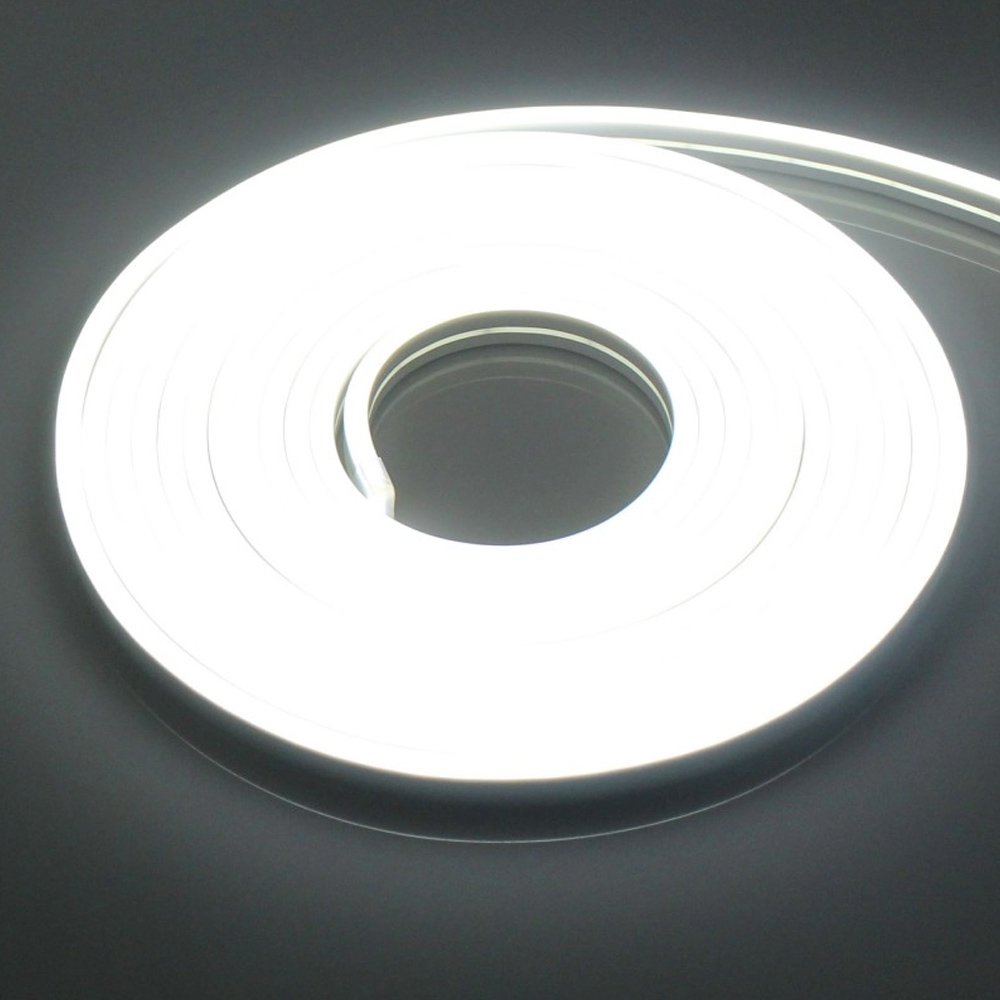 Αδιάβροχη LED Ταινία Neon 12V 5m με Τροφοδοτικό Ψυχρό Λευκό 6500K IP65 (RZ-0021)