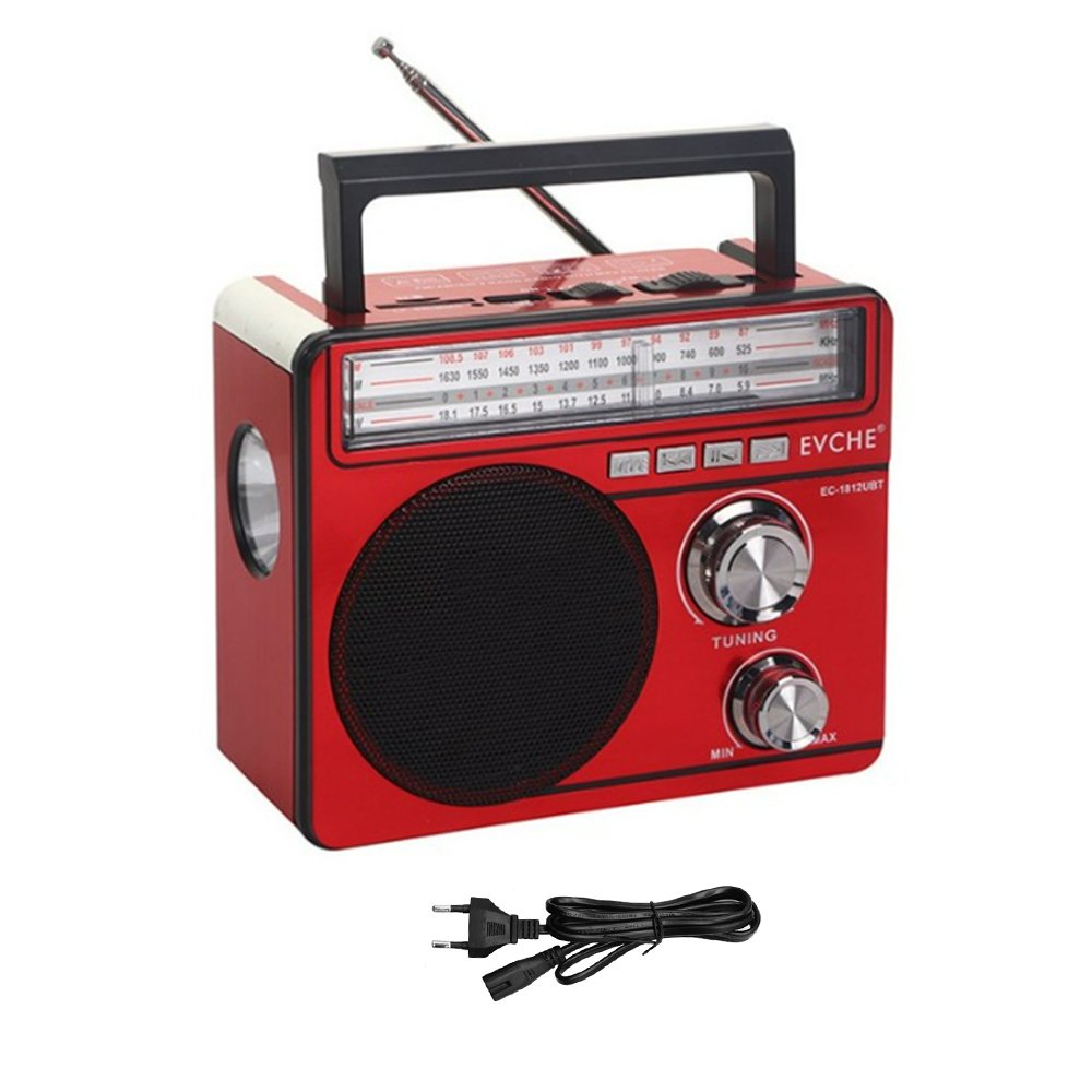 Ηχείο Bluetooth με Ραδιόφωνο και Φως LED FM/TF/USB Μαύρο (EC-1875UBT)