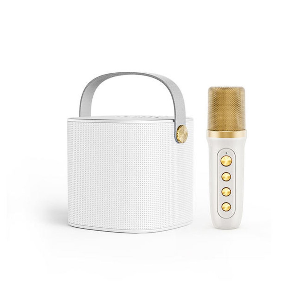 Mini Σύστημα Karaoke με Ασύρματο Μικρόφωνο Bluetooth – TF – USB – AUX Λευκό (YS-101)