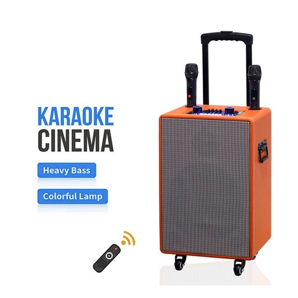 Επαγγελματικό φορητό ηχείο 60W 12.5″ με ροδάκια, 2 μικρόφωνα, τηλεχειριστήριο και RGB φωτισμό (DR-19)